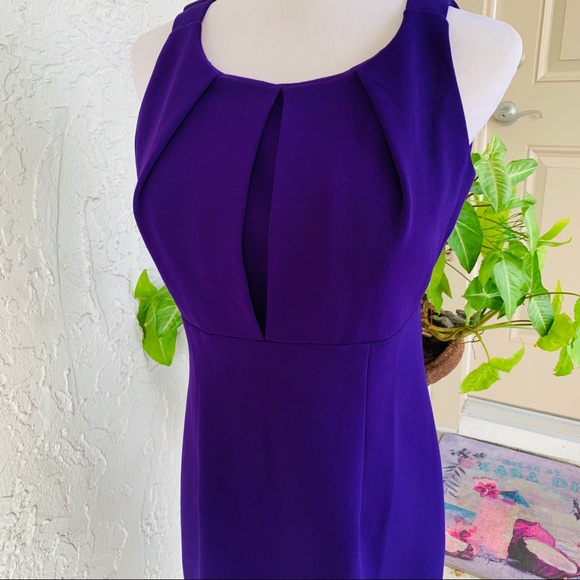 Amethyst KARIN STEVENS Empire Sleeveless Dress - Picture 2 of 8